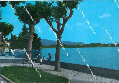 Cc481 cartolina erba lago - cc481,