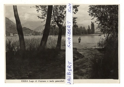 C07017 erba lago pusiano - lago, di