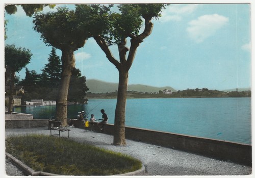 Erba como lago - erba,