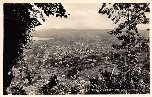 1074 cartolina erba distesa - erba,