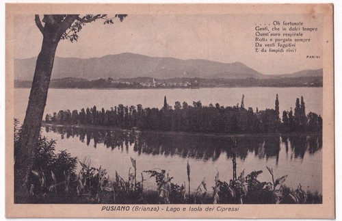 P02337 cartolina pusiano - p02337,