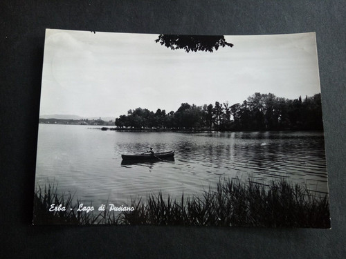 Erba lago pusiano - lago,