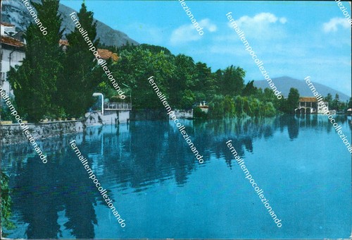 Cc482 cartolina erba lago - cc482,